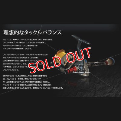 画像8: NEWカスタムバランサーtype-2 / C1