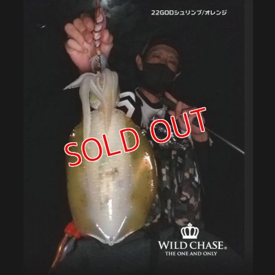 画像5: 2022 WILD CHASE 3.5号 GODシュリンプ/オレンジ（#22）