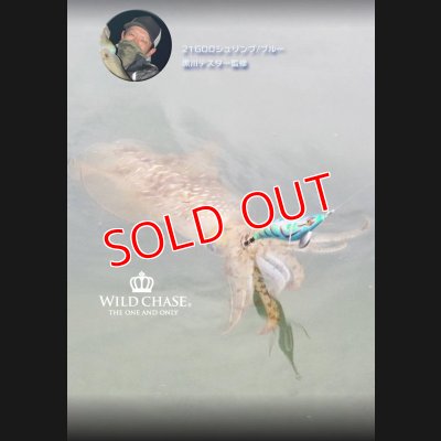 画像5: 2022 WILD CHASE 3.5号 GODシュリンプ/ブルー（#21）