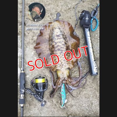 画像4: 2022 WILD CHASE 3.5号 GODシュリンプ/ブルー（#21）