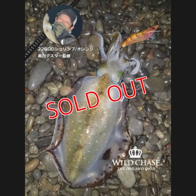 画像4: 2022 WILD CHASE 3.5号 GODシュリンプ/オレンジ（#22）