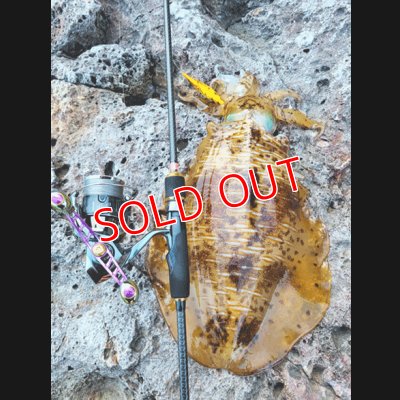 画像16: ZERO-G EVOLUTION 翔 707 IZANAGI MX （限定color/ Impact blue）