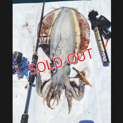 画像15: ZERO-G EVOLUTION 翔 707 IZANAGI MX （限定color/ Impact blue）