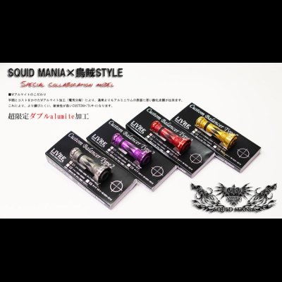 画像1: SQUID MANIA×烏賊Style SPECIALカスタムバランサーtype-2 DX / C1