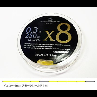 画像3: 限定 ☆ X8-PE 0.3-250m イエロー4m×SS1ｍ