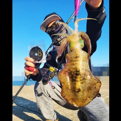 画像5: 限定 ☆ X8-PE 0.3-250m イエロー4m×SS1ｍ