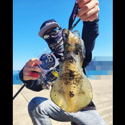 画像4: 限定 ☆ X8-PE 0.3-250m イエロー4m×SS1ｍ