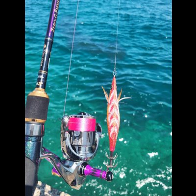 画像3: X8-PE 0.4-240ｍ luxury pink（ラグジュアリーピンク）烏賊Style限定