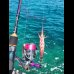 画像3: X8-PE 0.4-240ｍ luxury pink（ラグジュアリーピンク）烏賊Style限定
