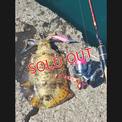 画像6: X8-PE 0.6-200ｍ luxury pink（ラグジュアリーピンク）烏賊Style限定