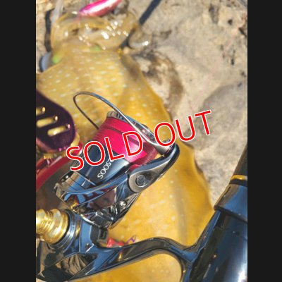 画像4: X8-PE 0.6-200ｍ luxury pink（ラグジュアリーピンク）烏賊Style限定