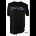 画像1: イカスタGAMER’Sロゴ  DRYシルキータッチTシャツ (1)