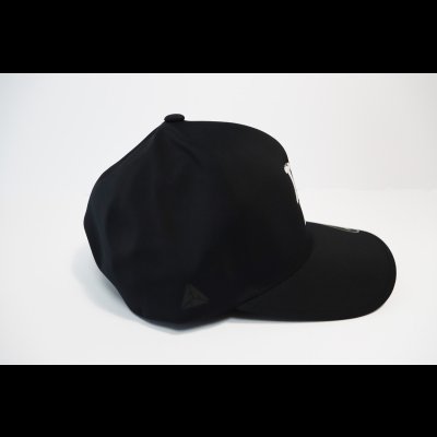 画像2: IKASTYLEロゴ　シームレスADJUSTABLE CAP 