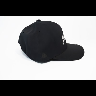画像2: イカスタ墨付きロゴ　シームレスADJUSTABLE CAP 
