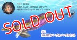 WILD CHASE 3.5号（53）RG/閃光パープルパープル (UV)[3.5号]