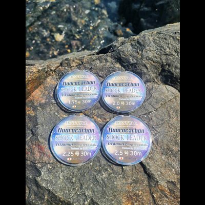 画像6: 烏賊Styleオリジナルショックリーダー