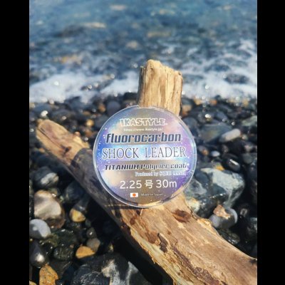 画像4: 烏賊Styleオリジナルショックリーダー