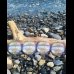 画像1: 烏賊Styleオリジナルショックリーダー (1)