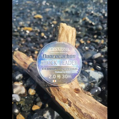 画像3: 烏賊Styleオリジナルショックリーダー