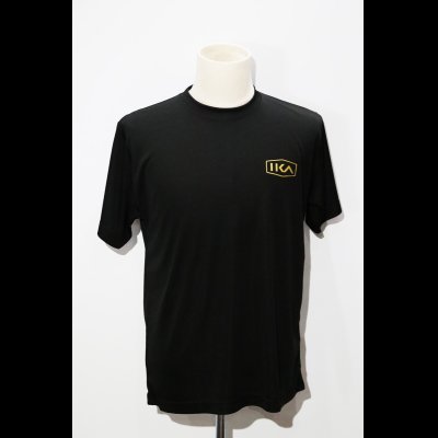 画像2: IKA STYLE シルキーDRY Tシャツ 