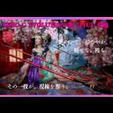 ZERO-G EVOLUTION 艶 711 UL 花魁（限定color/紅桜）