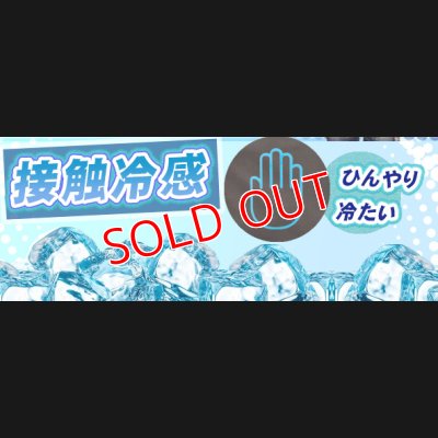 画像4: 烏賊スタイルGAMER’S LOGO アーム ガード 