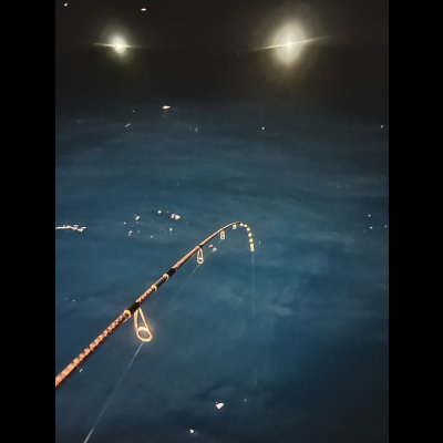 画像5: ZERO-G EVOLUTION GVX 603 闇夜 MX