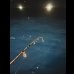 画像5: ZERO-G EVOLUTION GVX 603 闇夜 MX