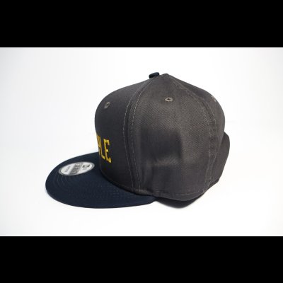 画像2: NEW ERA 9FIFTY イカスタロゴ  フラットキャップ