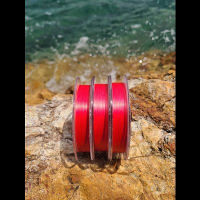 画像4: X8-PE 0.5-210ｍ FLASH RED 烏賊Style限定