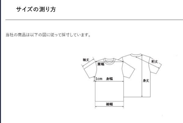 画像5: DRYシルキータッチTシャツ IKASTYLE王冠 (5)