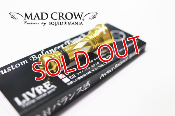 画像2: NEWカスタムバランサーtype-2 / C1 (2)