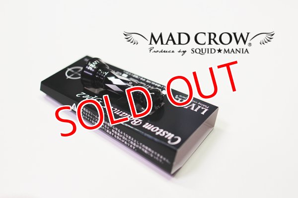 画像2: NEWカスタムバランサーtype-2 / C1 (2)