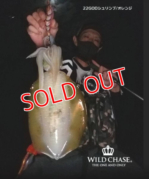 画像5: 2022 WILD CHASE 3.0号 GODシュリンプ/オレンジ(#22) (5)