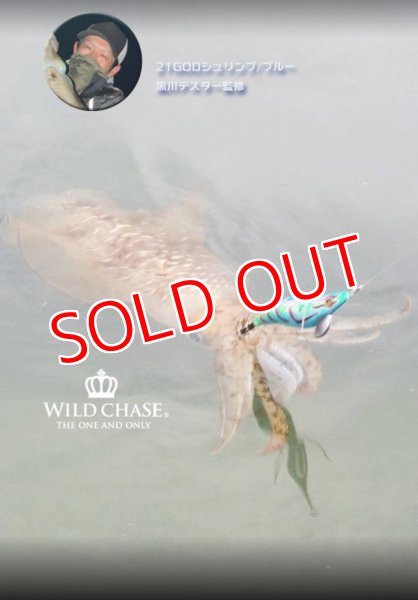 画像5: 2022 WILD CHASE 3.0号 GODシュリンプ/ブルー(#21) (5)