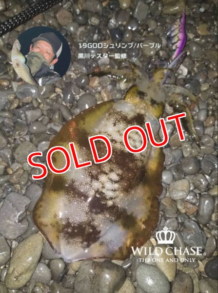 画像4: 2022 WILD CHASE 3.0号 GODシュリンプ/パープル(#19) (4)