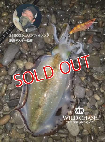 画像4: 2022 WILD CHASE 3.0号 GODシュリンプ/オレンジ(#22) (4)