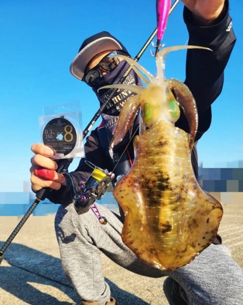 画像5: 限定 ☆ X8-PE 0.3-250m イエロー4m×SS1ｍ (5)