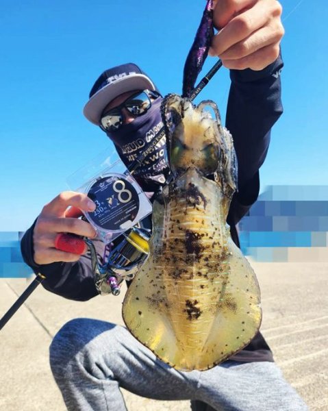 画像4: 限定 ☆ X8-PE 0.3-250m イエロー4m×SS1ｍ (4)