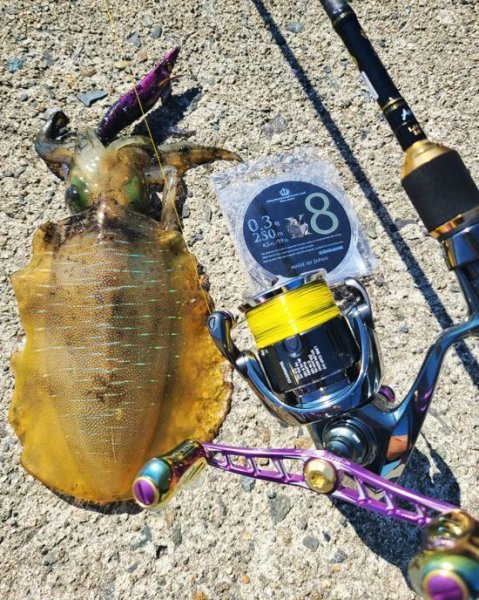 画像6: 限定 ☆ X8-PE 0.3-250m イエロー4m×SS1ｍ (6)