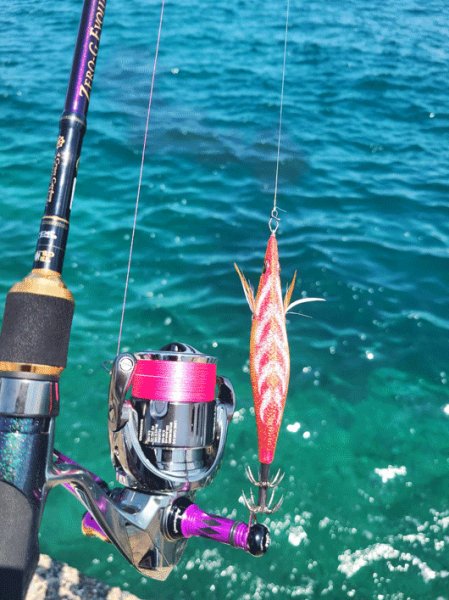 画像3: X8-PE 0.6-200ｍ luxury pink（ラグジュアリーピンク）烏賊Style限定 (3)