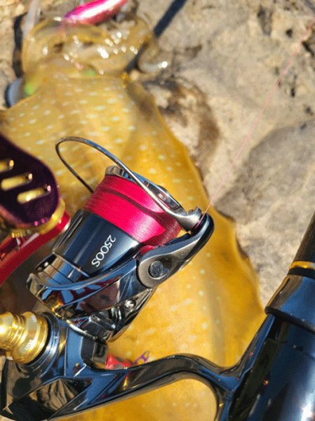 画像4: X8-PE 0.6-200ｍ luxury pink（ラグジュアリーピンク）烏賊Style限定 (4)