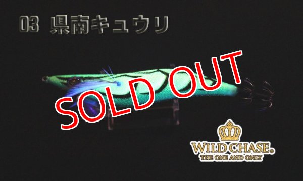 画像3: WILD CHASE 3.5号S/シャローtune（03）県南キュウリ (3)