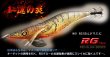 画像1: WILD CHASE 3.5号（48）RG/REALヌマエビ(UV) (1)