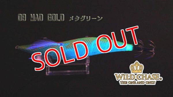 WILD CHASE 2.5号（09）MAD GOLD / メタグリーン - エギング