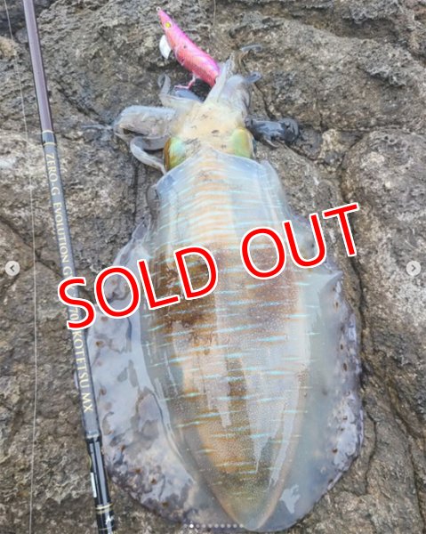 画像4: ZERO-G EVOLUTION GVX 冴 704 KOTETSU MX (限定color/shine aurora) (4)