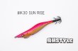 画像2: WILD CHASE 2.5号 スーパースロー#IK30 SUN RISE（特注:烏賊STYLE） (2)