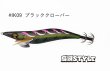 画像1: WILD CHASE 2.5号 スーパースロー#IK09ブラッククローバー (1)