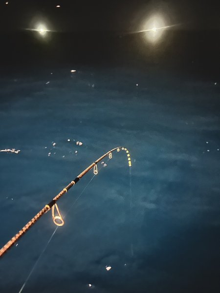 画像5: ZERO-G EVOLUTION GVX 603 闇夜 MX (5)