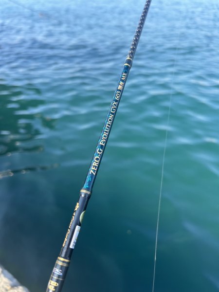 画像2: ZERO-G EVOLUTION GVX 603 闇夜 MX (2)